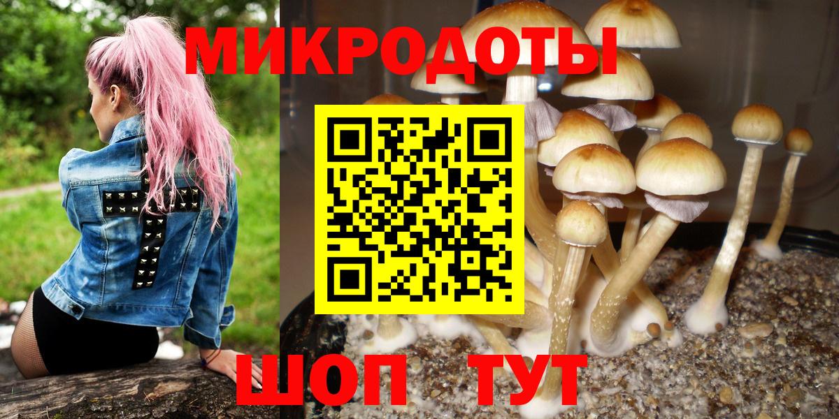 Псилоцибиновые грибы прущие грибы  Вход с VPN  купить наркотики сайты  Ковров 