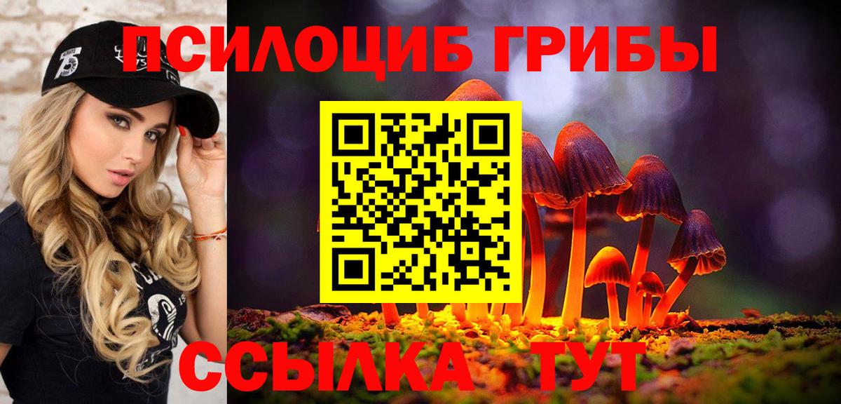 Псилоцибиновые грибы мицелий Ковров